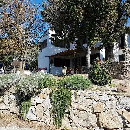 Ciuffini Marciana (Isola d'Elba)