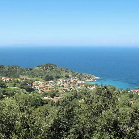 Ciuffini *
